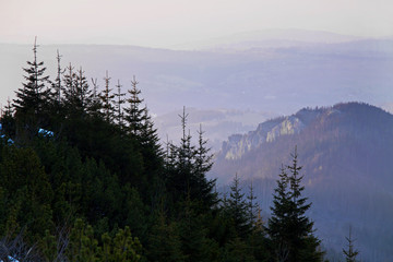 Obraz na płótnie Canvas Mountain landscape with tree forest