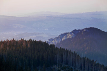 Mountain landscape with tree forest