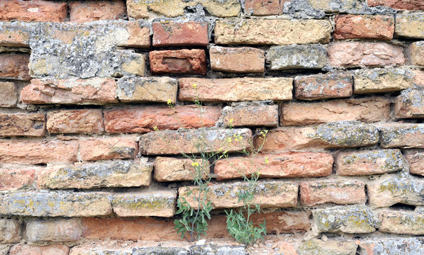 old brick wall texture background