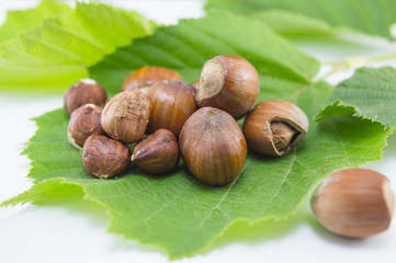Raw hazelnuts on a green leaf