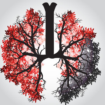 Tree Branches Like Lungs - Vector Illustration