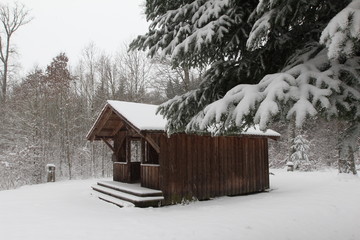 Winter Landscape / Winter in the woods