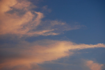 Skies