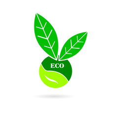 eco icon vector illustration