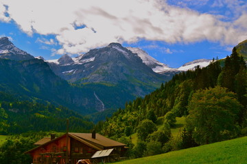 Fototapeta na wymiar Schweizer Berglandschaft