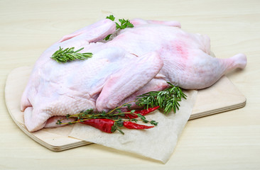 Raw duck