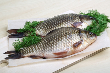 Two crucian