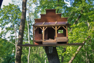 bird feeders in the form of a house closeup