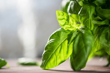 Fresh organic basil