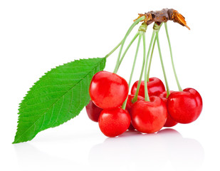 Ripe cherry with leaf isolated on white background