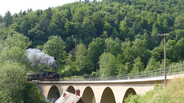 Dampfzug fährt über ein Viadukt, Zeitraffer