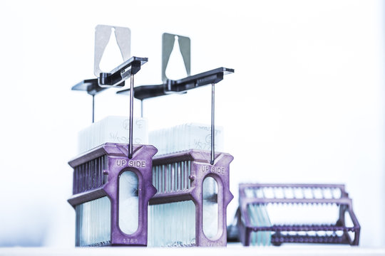 Object plate holder for tissue stainer