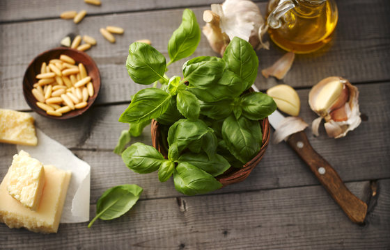 Ingredients of basil pesto
