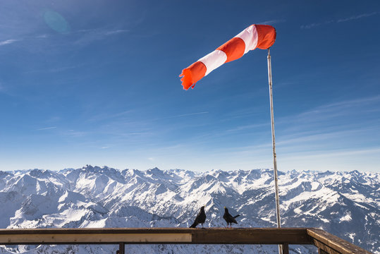 Germany, Bavaria, Nebelhorn, windsock and jackdaws on observation terrace