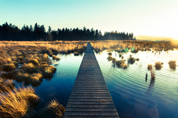 Das Brackvenn in der Nähe von Mützenich auf Belgischer Seite im Winter ohne Schnee