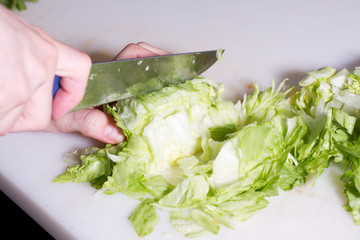 Blattsalat schneiden