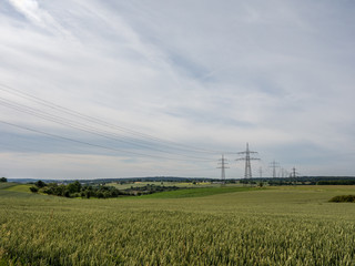 Fototapeta na wymiar Überlandleitung im Weizenfeld