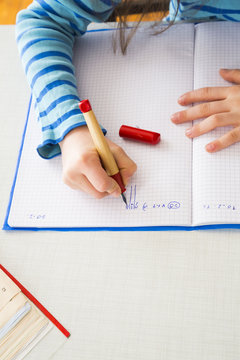 Girl doing mathematics homework