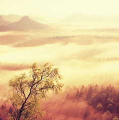 Fototapeta premium Misty awakening in a beautiful hills. Filtered image: processed vintage effect.