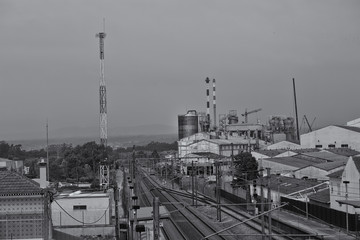 Fototapeta premium park of the city,europa