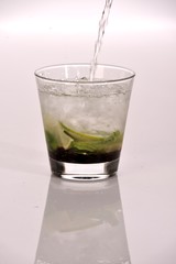 mojito 