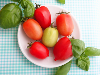 Red, green and orange tomatoes on white plate on checkered table cloth and fresh basil leaves around