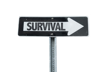 Survival direction sign isolated on white 