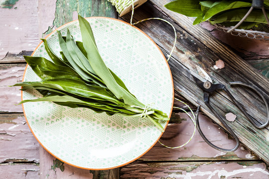 Wild garlic, Allium ursinum, on plate