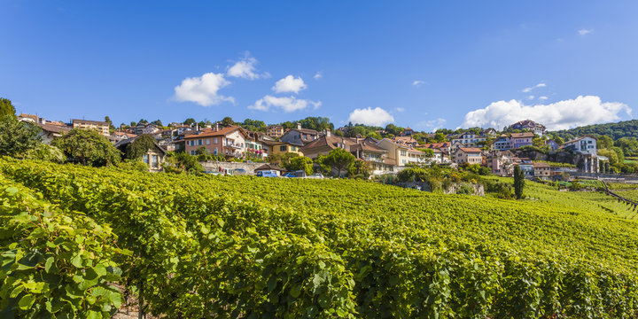 Switzerland, Lavaux, Lake Geneva, wine-growing area Chexbres