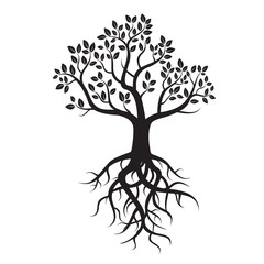 Fototapeta premium Black vector tree and roots