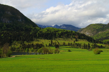 Obraz premium Triglav National park in Bohinj, Slovenia