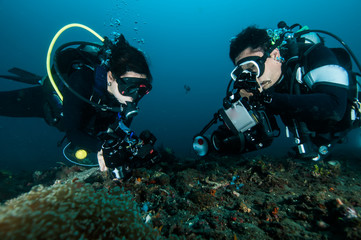 Plongeur prendre une photo vidéo sur coral lembeh indonésie plongée sous-marine