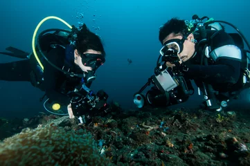 Rolgordijnen duiker maak een foto video op koraal lembeh indonesië duiken © fenkieandreas