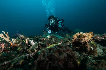 Afwasbaar fotobehang diver take a photo video upon coral lembeh indonesia scuba diving © fenkieandreas