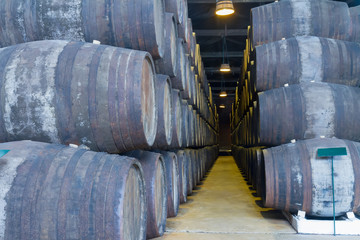 cellar with wine barrels
