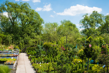 Garden centre, plant nursery