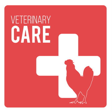 Veterinary Care Pets illustration over color background
