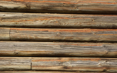 Old wood. Picture can be used as a background