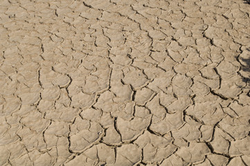 Dry Lake Bed