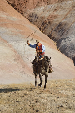 USA, Wyoming, Big Horn Mountains, riding cowboy swinging lasso