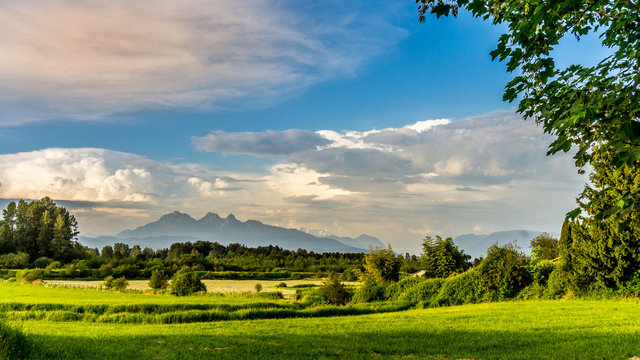 Fototapeta Golden Ears mountain seen from Derby Reach in Langley British Columbia