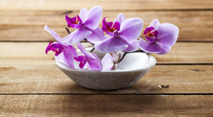 Fototapeta na wymiar concept of massage and washing-up with pink orchids in stone cup for hydration