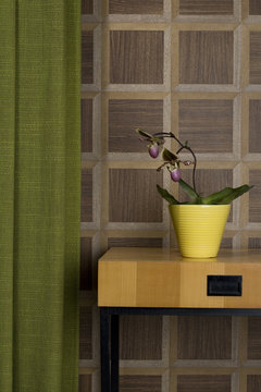 Sideboard with potted orchid and curtain in front of wooden wall cladding