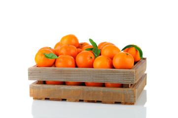 Clementines in Wood Crate © Steve Cukrov