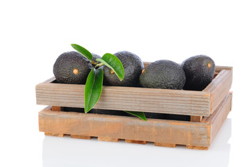 Hass Avocados in Wood Crate