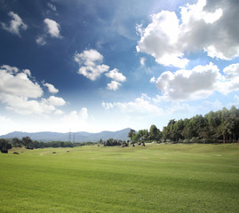 Fototapeta na wymiar green golf field and blue cloudy sky. landscape