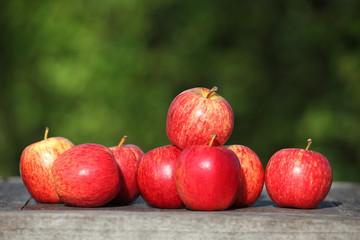 Harvest time, apples