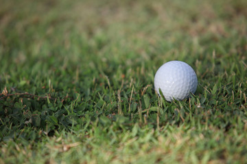 golf ball on tee in a beautiful golf club