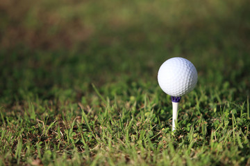 golf ball on tee in a beautiful golf club