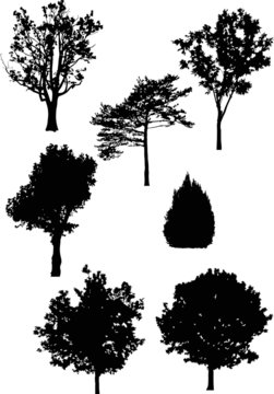 seven isolated different trees silhouettes